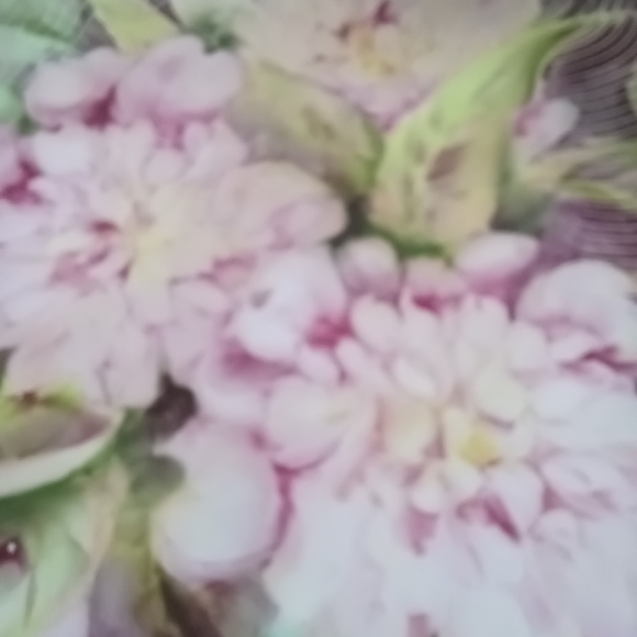 LIMOGES FRANCE 10"VINTAGE HAND PAINTED PLATE PEONIES - Picture 11 of 14